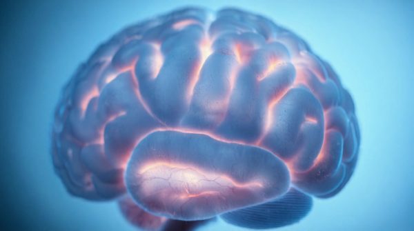 Les effets de la maladie neurodégénérative : ce qu'il faut savoir